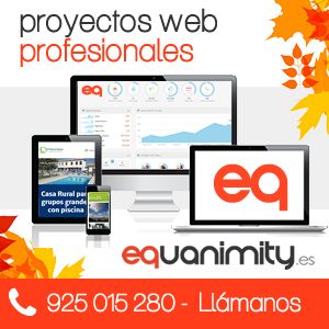 Diseño y Programación Web Profesional eQuanimity.es